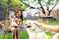 愛犬を『他の犬と交…の画像