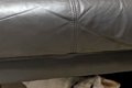 『犬を覗く時、犬も…の画像