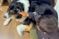 仲良しな男の子と犬→…の画像