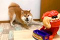 犬が大好きなおやつ…の画像