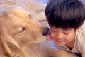 『男の子と大型犬』…の画像