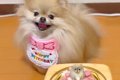 お誕生日ケーキを目…の画像
