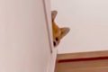 夜、家族が寝静まっ…の画像