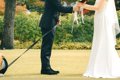 結婚式のデータが届…の画像