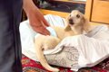 おばあちゃんと3年ぶ…の画像