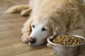 犬の食いつきが悪く…の画像