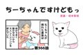 ちーちゃんですけど…の画像