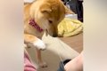 腕についた『輪ゴム…の画像