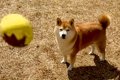 『こんなつまらなそ…の画像