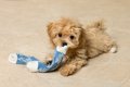 超簡単に作れる！犬…の画像