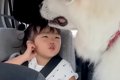 3歳の女の子を『車で…の画像