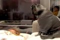 飲みすぎて酔い潰れ…の画像