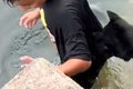 男の子が川で泳いだ…の画像