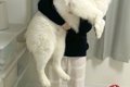 いつもパパに抱っこ…の画像