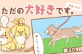 ただの犬好きです。…の画像