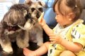 2匹の犬が『赤ちゃん…の画像