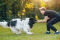 犬を興奮させ過ぎるN…の画像