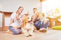 犬の『基本のしつけ…の画像