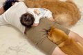 床で転がっていたら…の画像