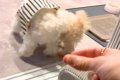 世界一スマートな『…の画像