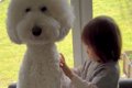 男の子に『大型犬の…の画像