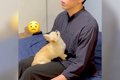 犬の『かまちょ』全…の画像