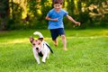 『犬を追いかけると…の画像
