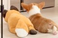 ぬいぐるみと一緒に…の画像