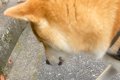 『君がいなかったら…の画像