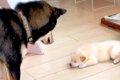 自分の子供と初めて…の画像