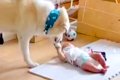 赤ちゃんに近づく超…の画像