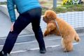 街の人々に愛されて…の画像