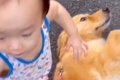 小さな男の子が大型…の画像