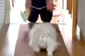 帰省でおばあちゃん…の画像