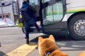 1年に2度しか会えな…の画像