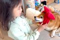 『人に歯を当てたら…の画像