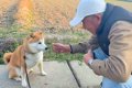 犬におやつを与える…の画像