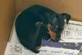 母『30年前に亡くな…の画像