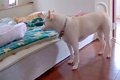 寝起きが悪いお姉ち…の画像