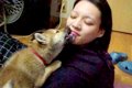 犬が苦手な女性が『…の画像