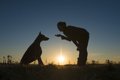 愛犬のしつけに叱る…の画像