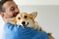 犬の正しい『抱き方…の画像