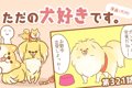 ただの犬好きです。…の画像