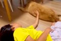 見えなくても『誰に…の画像