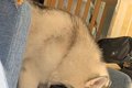 いつもの場所に『大…の画像