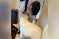 出張で１週間も帰っ…の画像
