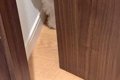 家でトイレ中『ノッ…の画像