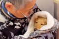 おばあちゃんが犬を…の画像