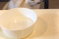 居酒屋で食事中、犬…の画像