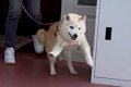 17歳のおじいちゃん…の画像
